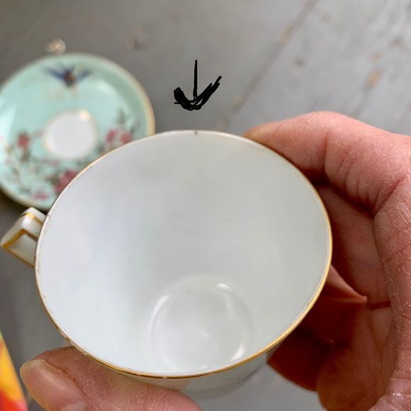 Vintage Delicate Cup and Saucer w/Bluebird! Sweet! - Picture 15 of 17